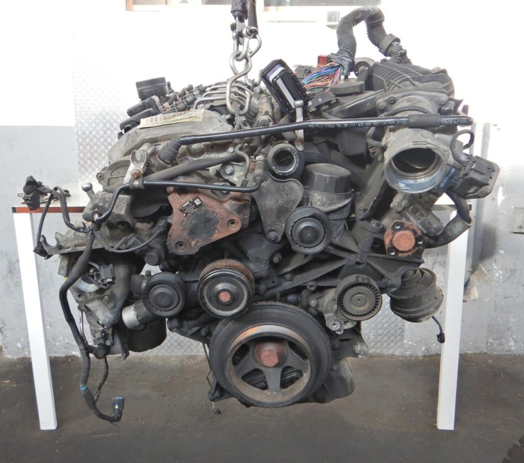 DSCN8195.JPG