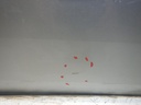 DSCN0089.JPG