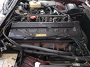 IMG_20241017_153627802.jpg