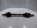 20241030_104543.jpg