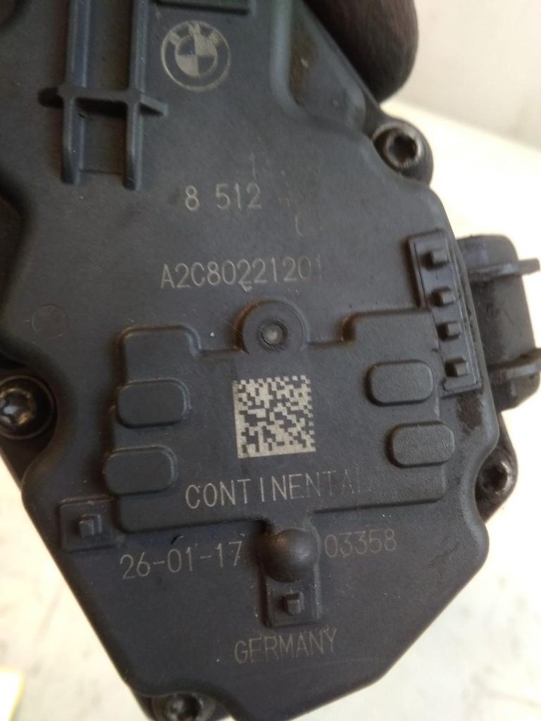 17310692420437144462963713036300.jpg