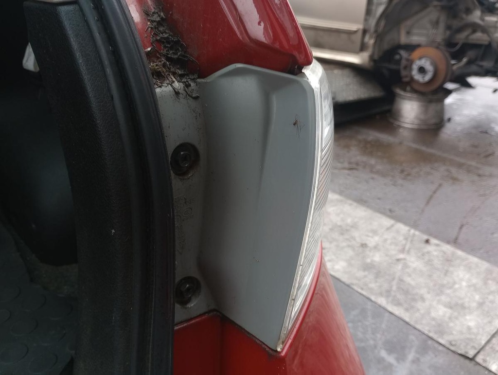 IMG_20241111_131606497.jpg