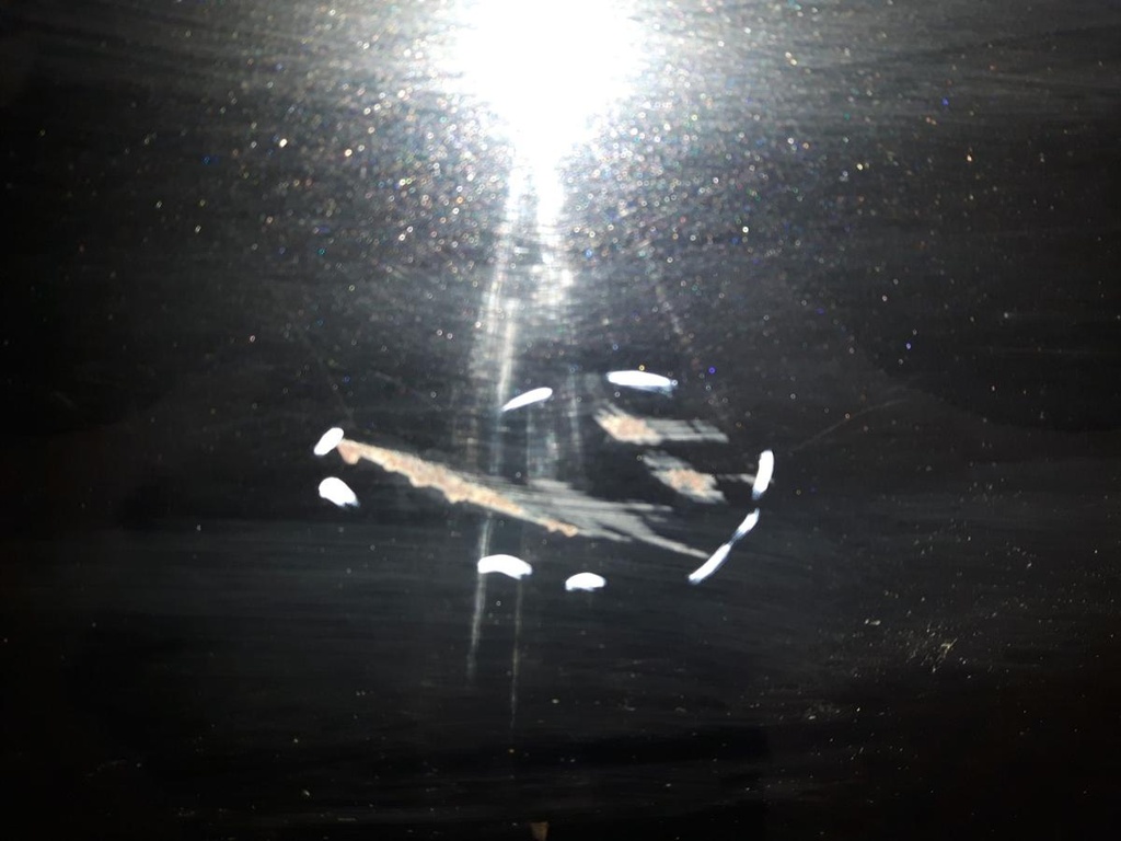 20241112_093422.jpg
