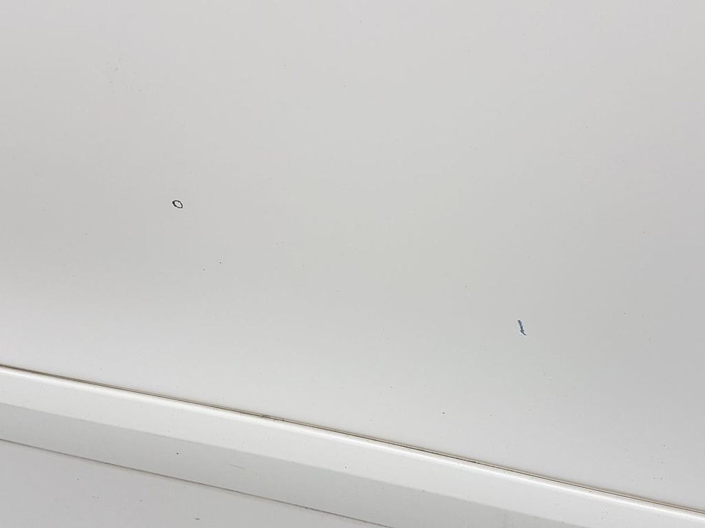 20241112_131117.jpg