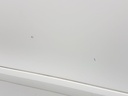 20241112_131117.jpg