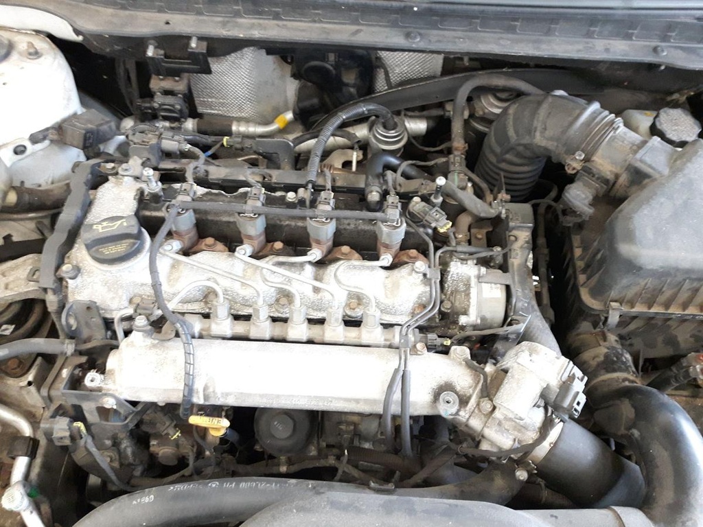 20241118_083817.jpg