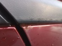 IMG_20241119_083636209.jpg