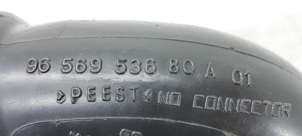 20241121_163226.jpg