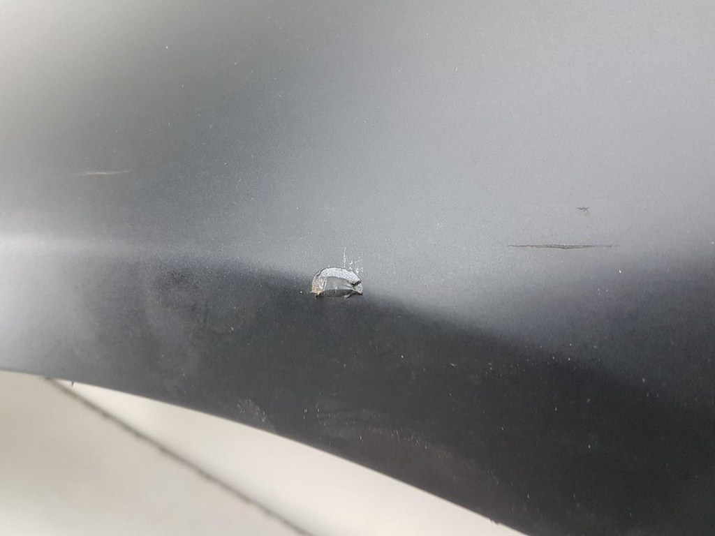 20241122_113126.jpg