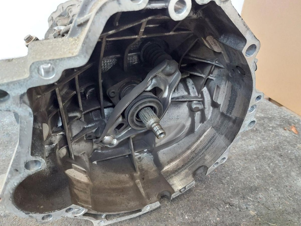20241121_125359.jpg