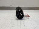 IMG_2216.jpeg