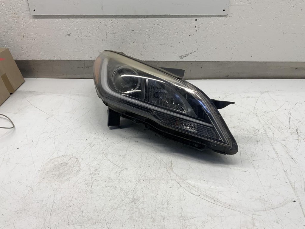 IMG_2284.jpeg