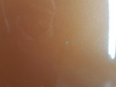 20241210_115311.jpg