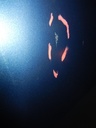 DSCN1169.JPG