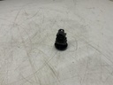 IMG_2512.jpeg