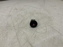 IMG_2511.jpeg