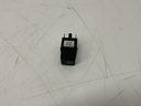 IMG_2651.jpeg