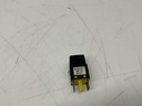 IMG_2647.jpeg