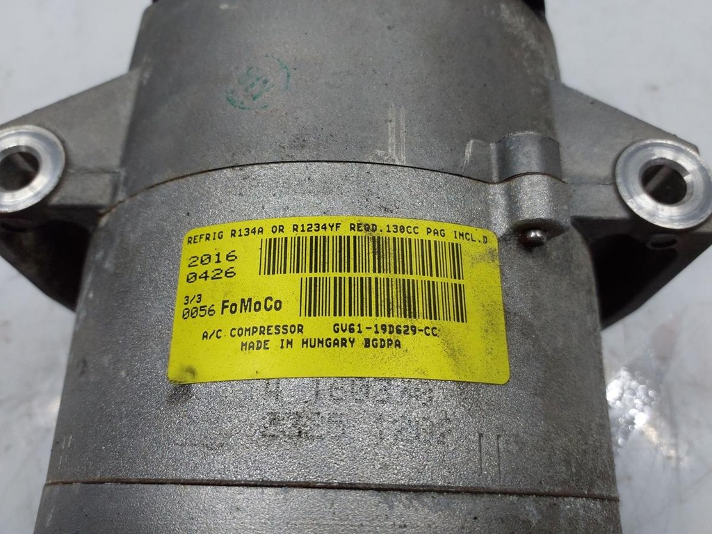 20241219_105459.jpg