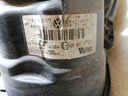 IMG_20241220_105849.jpg