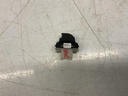 IMG_2779.jpeg