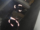 DSCN1656.JPG