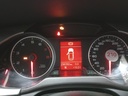 IMG_20250123_095158693.jpg