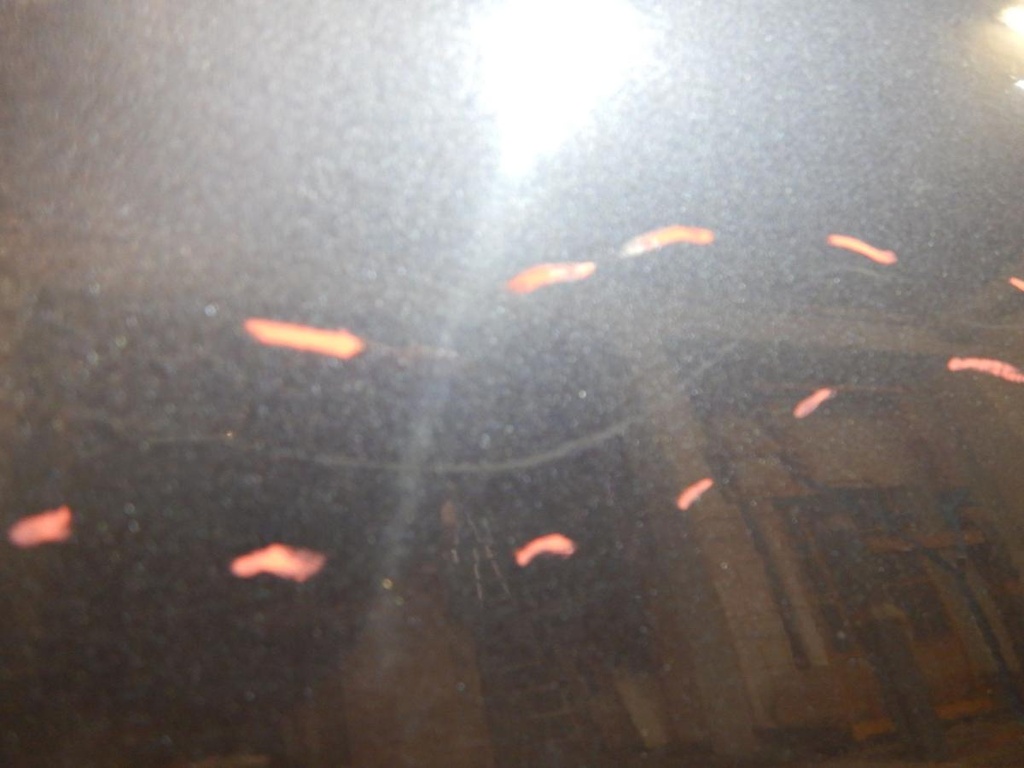 DSCN2068.JPG