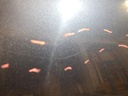 DSCN2068.JPG