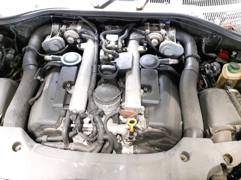 20250131_124607.jpg
