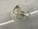 IMG_3555.jpeg