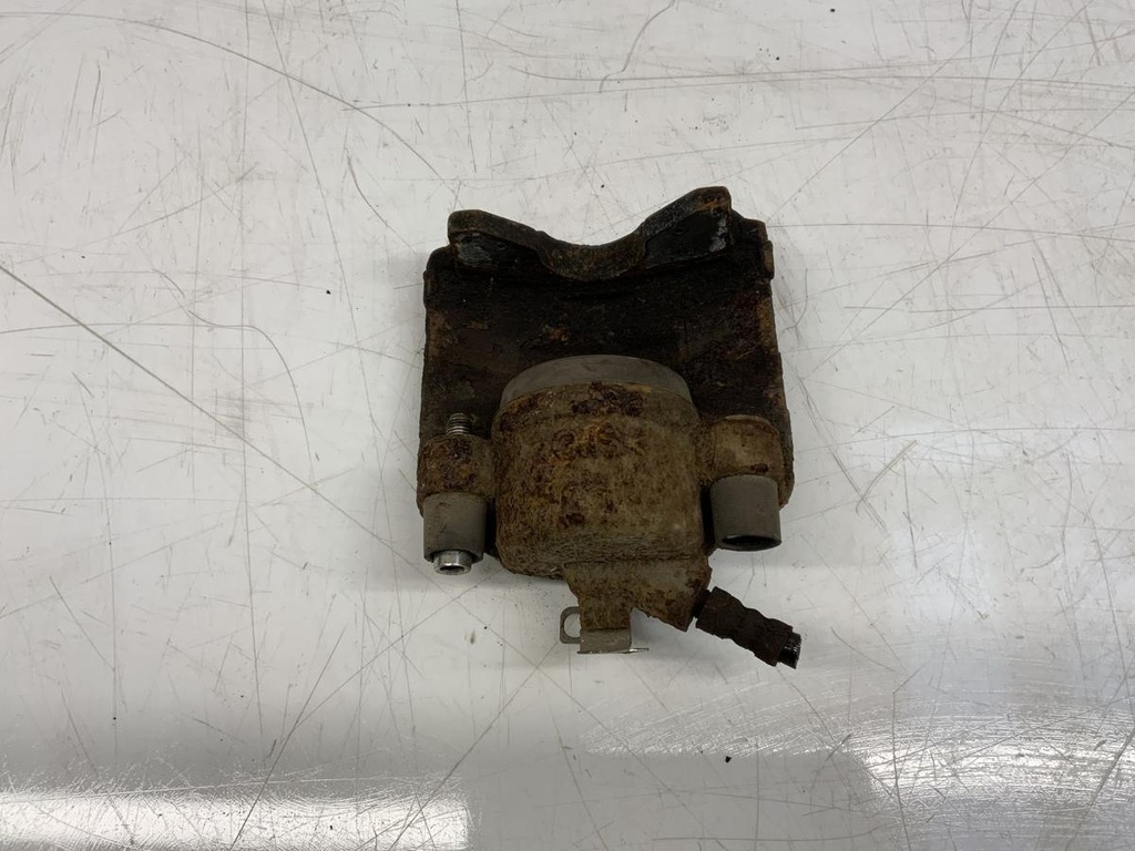 IMG_3567.jpeg