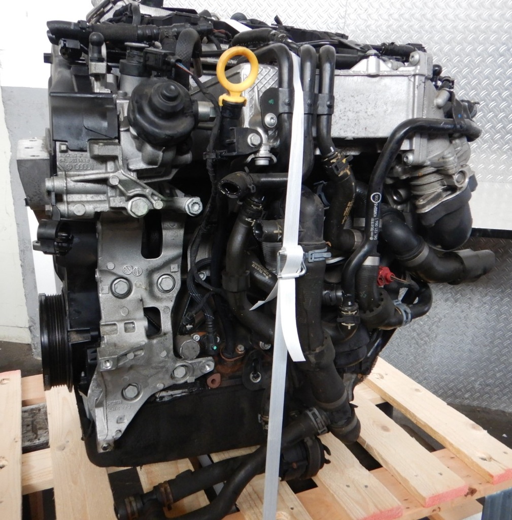 DSCN9456.JPG