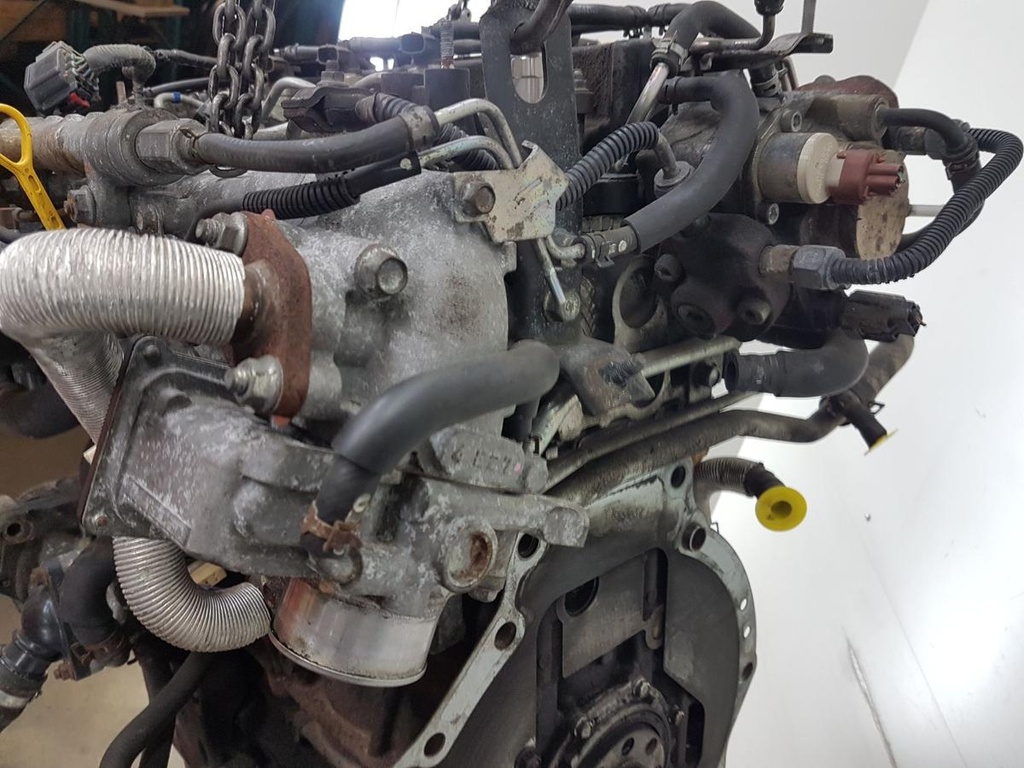 20250211_144500.jpg