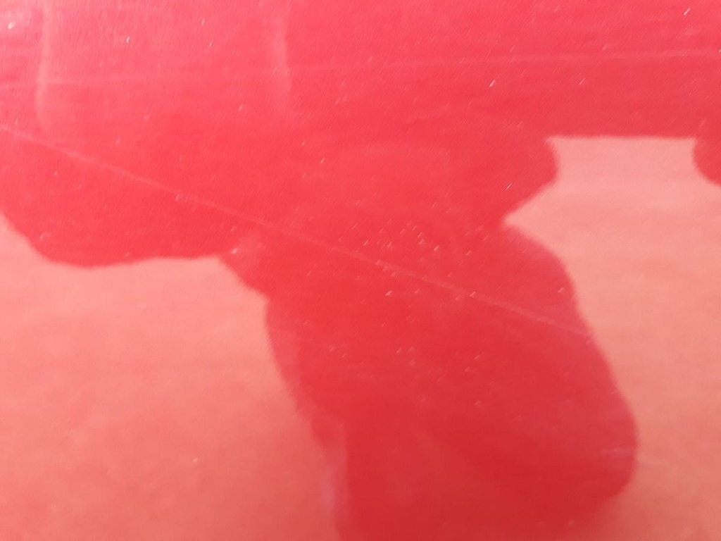 20250212_160737.jpg