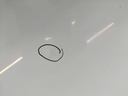 IMG_20250218_104113.jpg