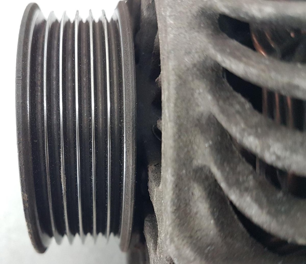20250219_104126.jpg