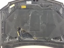 20250219_111600.jpg