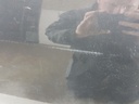 20250225_135559.jpg