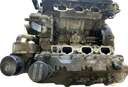 IMG_3890.png