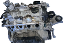 IMG_3899.png