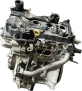 IMG_3952.png