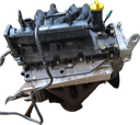 IMG_4020.png