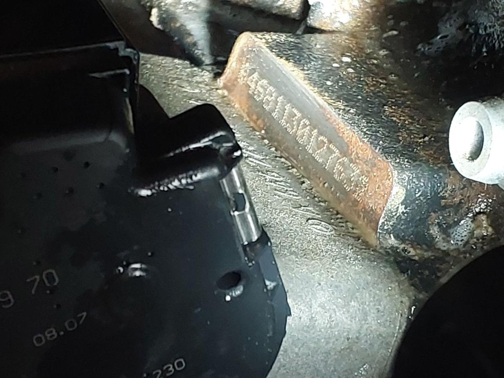 20250307_091001.jpg