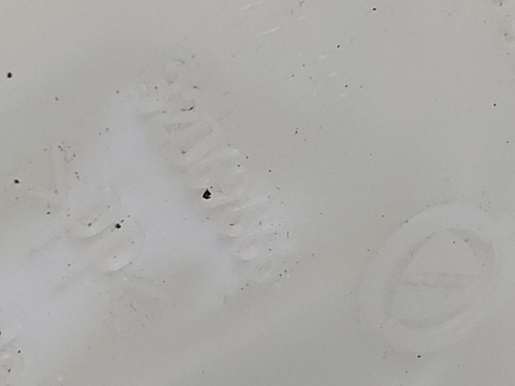20250326_144838.jpg