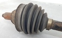 20250331_151729.jpg