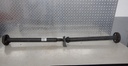 DSCN0447.JPG