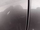 IMG_20250411_114236.jpg