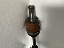 IMG_4574.jpeg