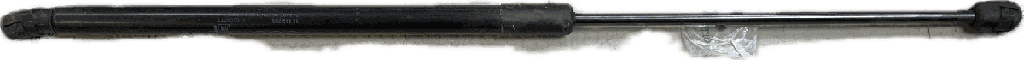 IMG_4818.png